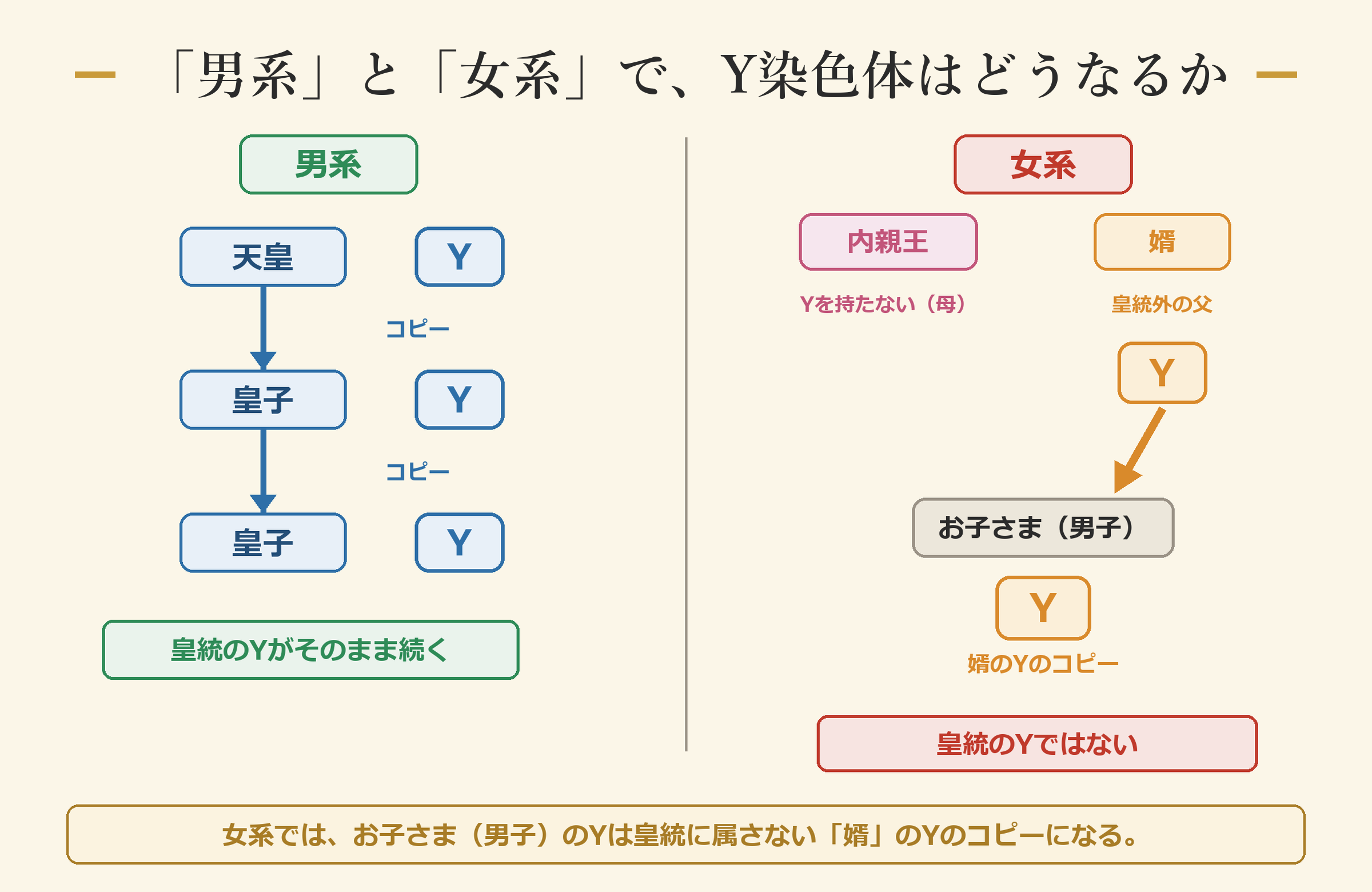 男系はYがそのまま続く／女系はお子さまのYが皇統外の父のコピーになる